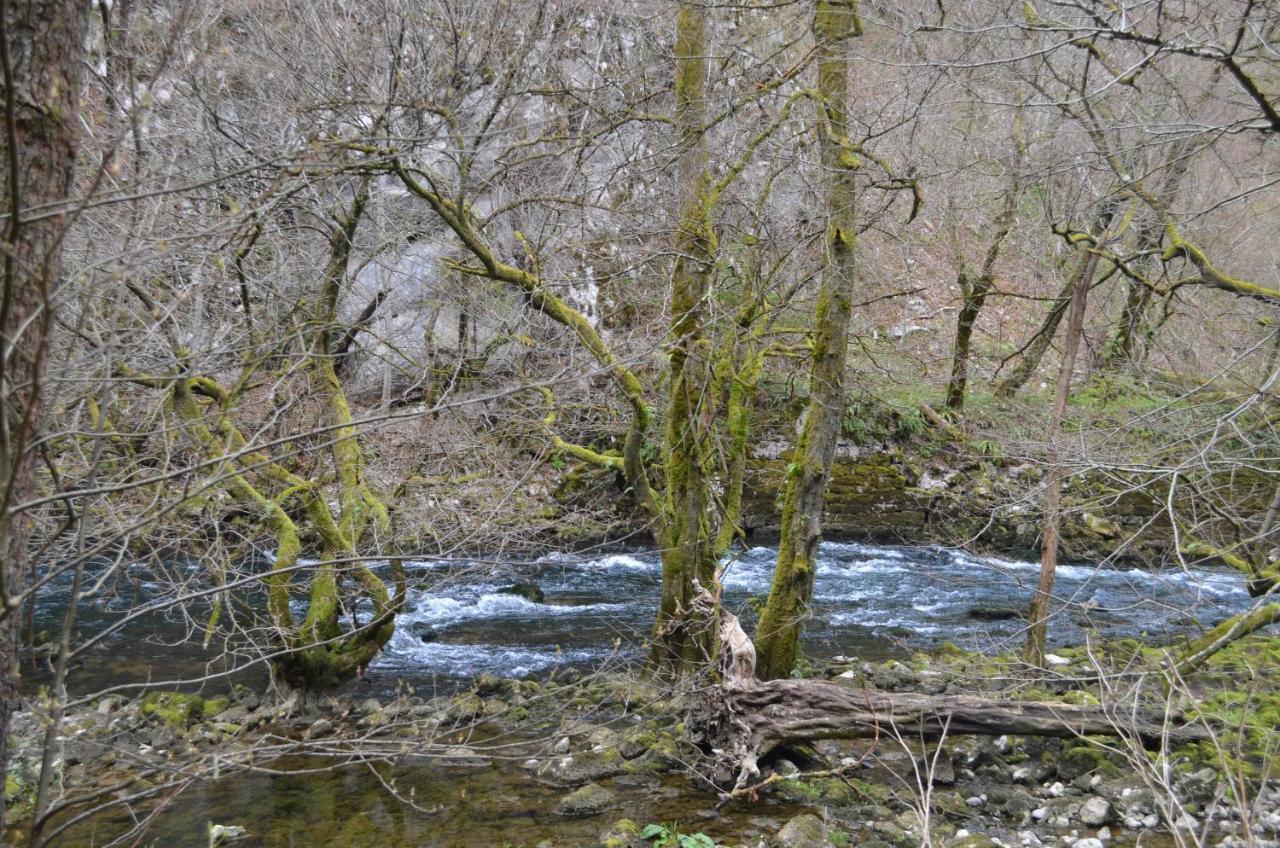 Apartma Nika Planina  Esterno foto