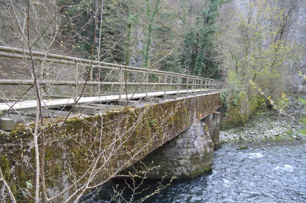Apartma Nika Planina  Esterno foto