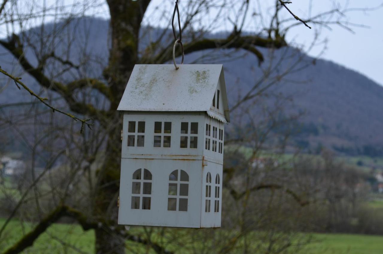 Apartma Nika Planina  Esterno foto