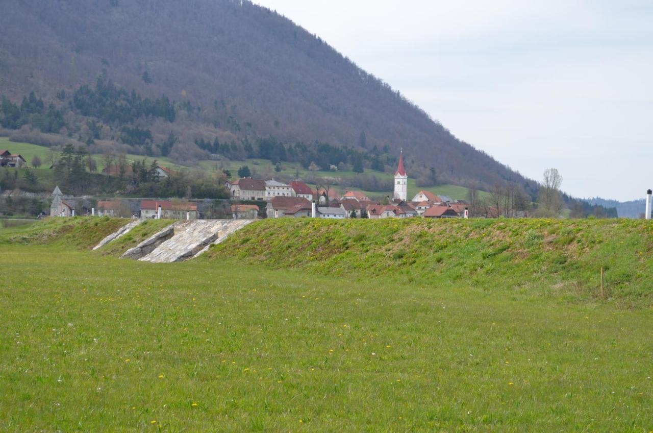 Apartma Nika Planina  Esterno foto