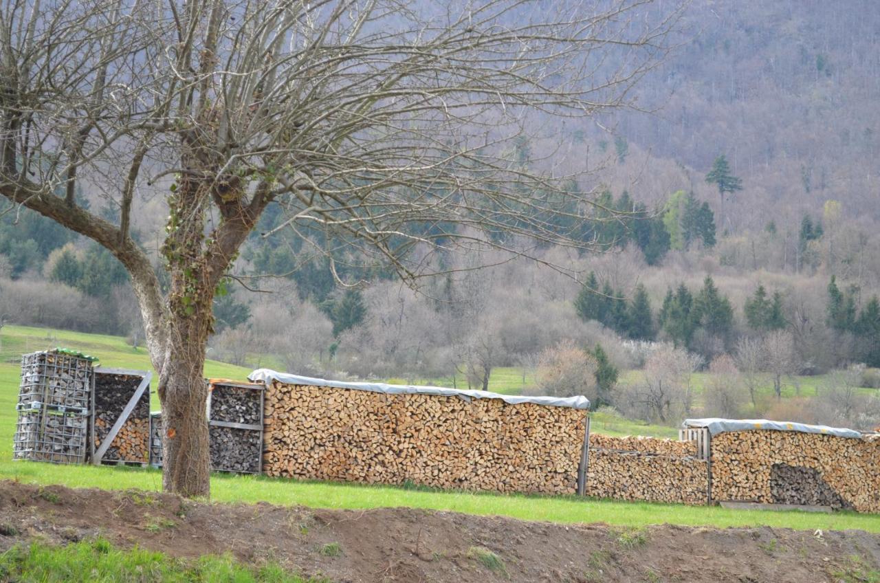 Apartma Nika Planina  Esterno foto