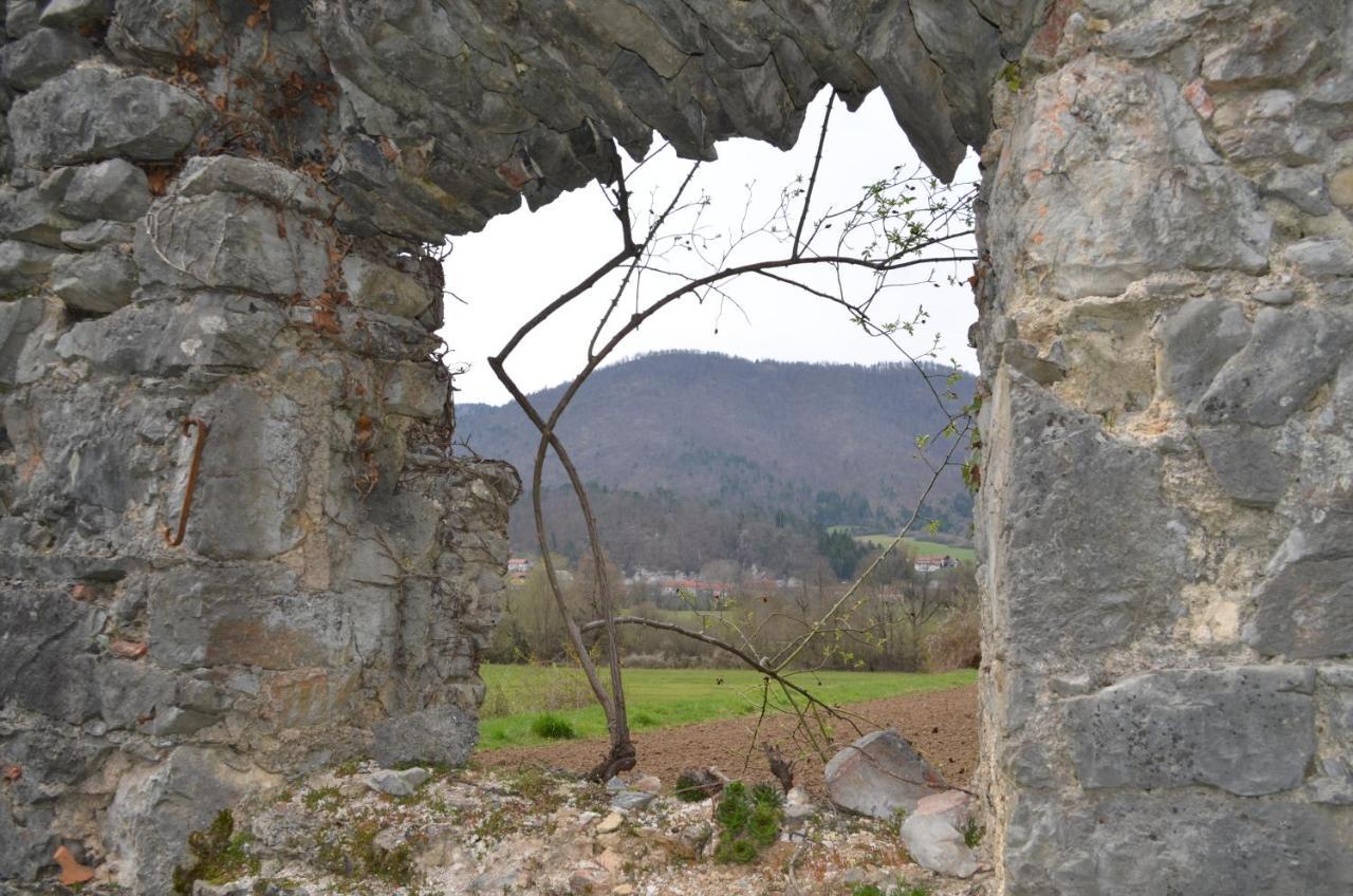 Apartma Nika Planina  Esterno foto
