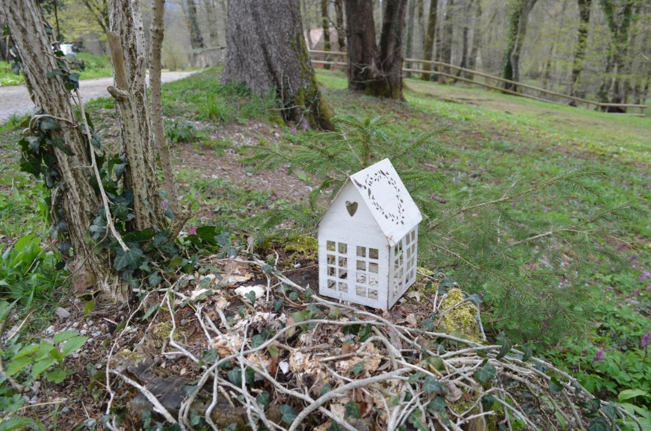 Apartma Nika Planina  Esterno foto