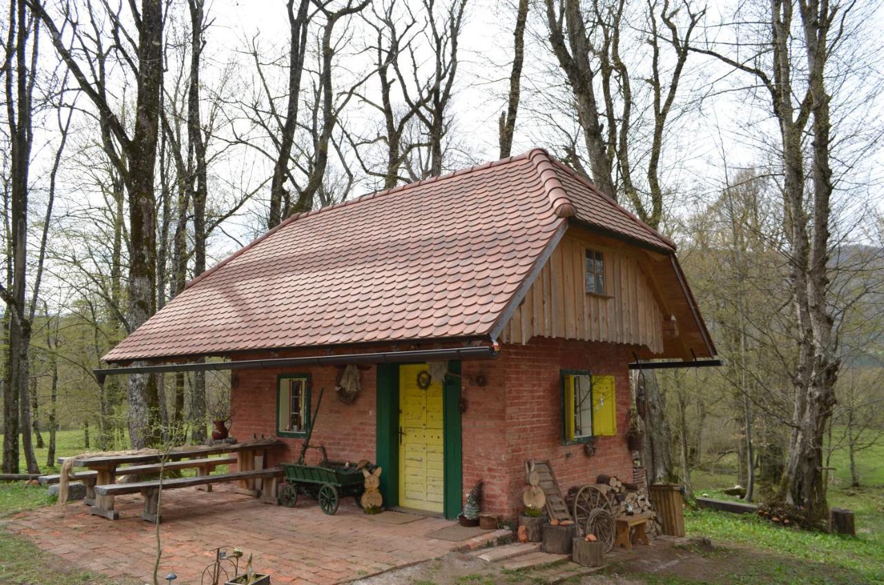 Apartma Nika Planina  Esterno foto