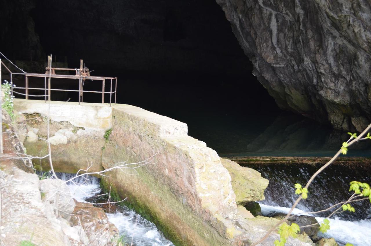 Apartma Nika Planina  Esterno foto
