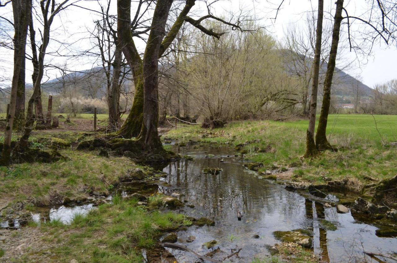 Apartma Nika Planina  Esterno foto