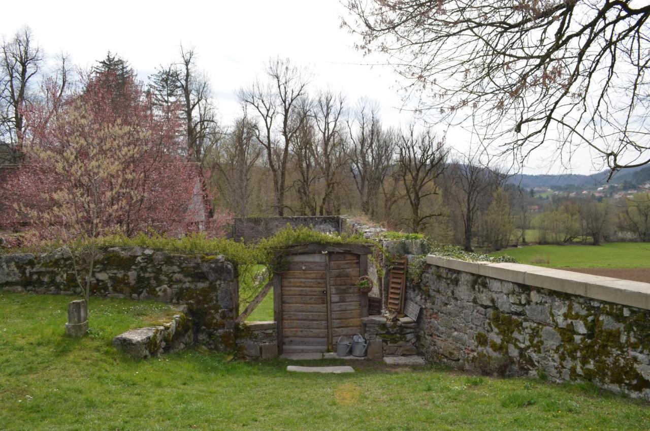 Apartma Nika Planina  Esterno foto