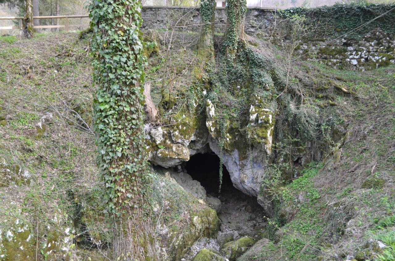 Apartma Nika Planina  Esterno foto