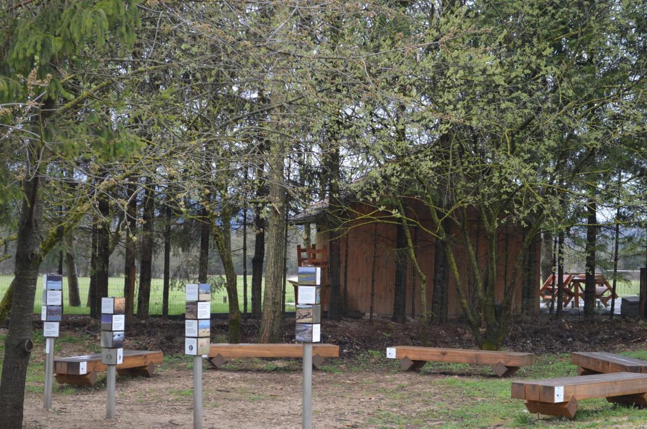 Apartma Nika Planina  Esterno foto